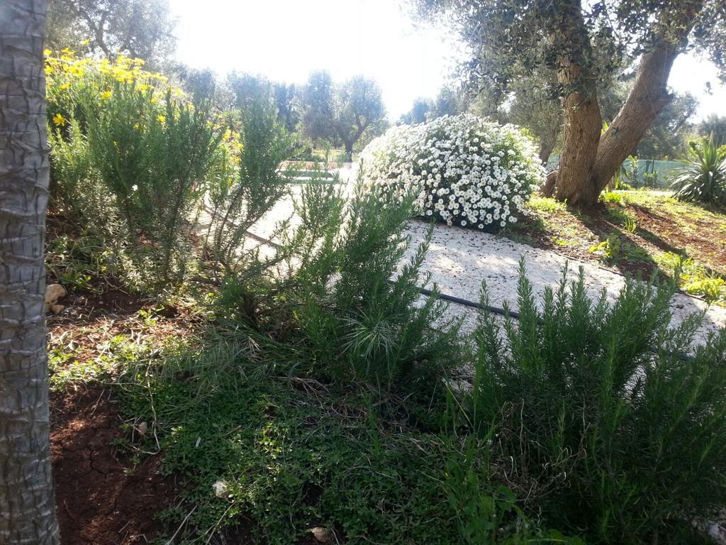 Caserurali Ceglie Messapica Exterior foto